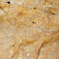 Cueva de la Araña (Bicorp)