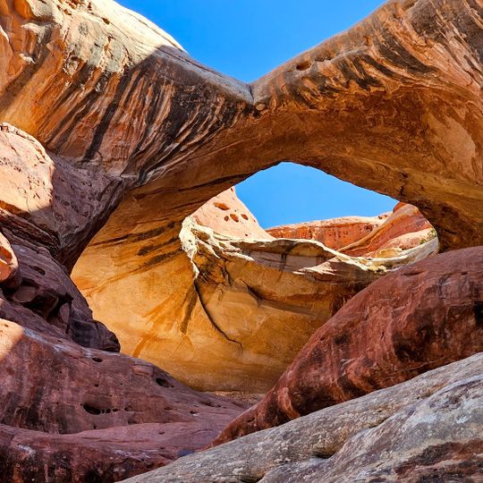 Paul Bunyans Potty Arch