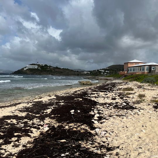 Cormorant Beach Club