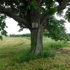 Obrázek při odbočce na Kalnou Hať