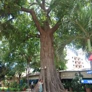 ダカールの観光地：歴史的モニュメント、博物館、海岸の名所