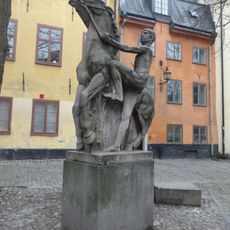 Yngling bestiger häst