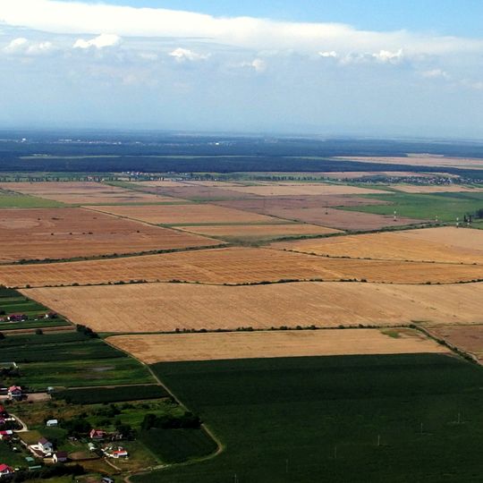 Muntenia