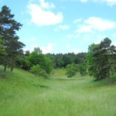 Naturschutzgebiet Ebenhöhe-Liebenberg