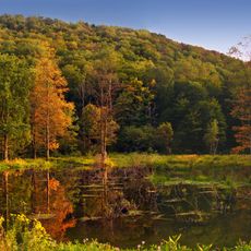 Lyman Run State Park