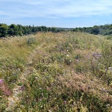 Long Burgh long barrow, Alfriston.