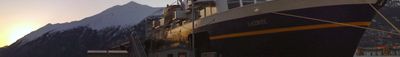 Panoramic View 1