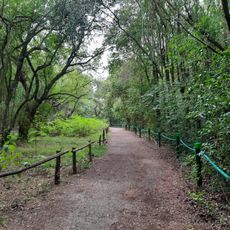 Parque nacional Ciervo de los Pantanos