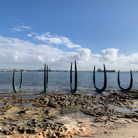 The Eyes of the Land and the Sea