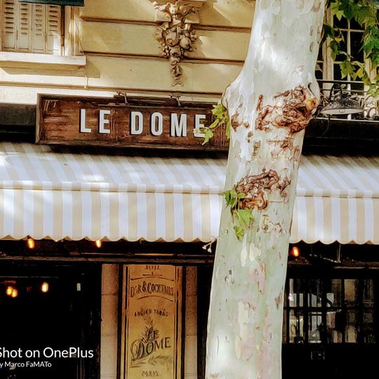 Le Dôme