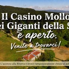 Riserva naturale I Giganti della Sila