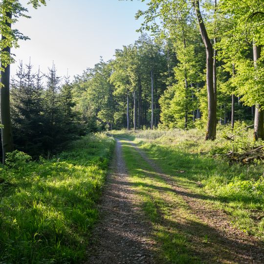 Wälder bei Blomberg