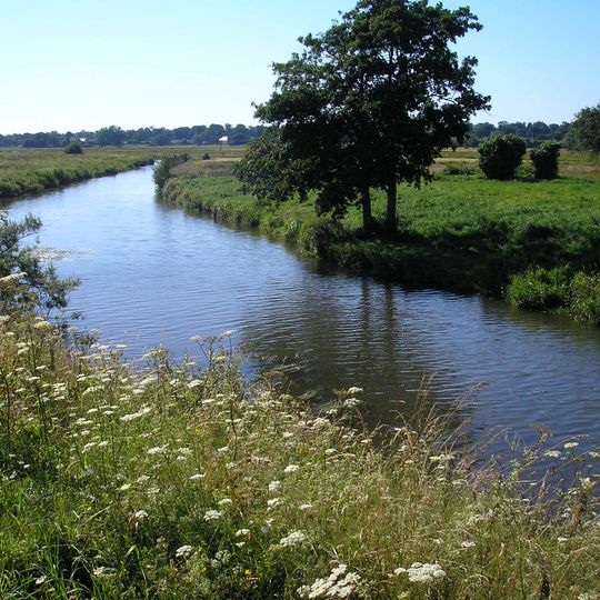 Marais De La Taute