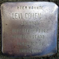 Levi Cohen