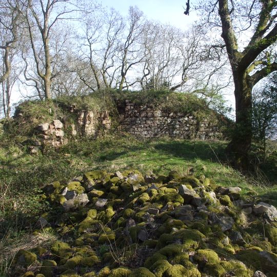 Morgraig Castle