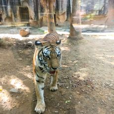Nanning Zoo