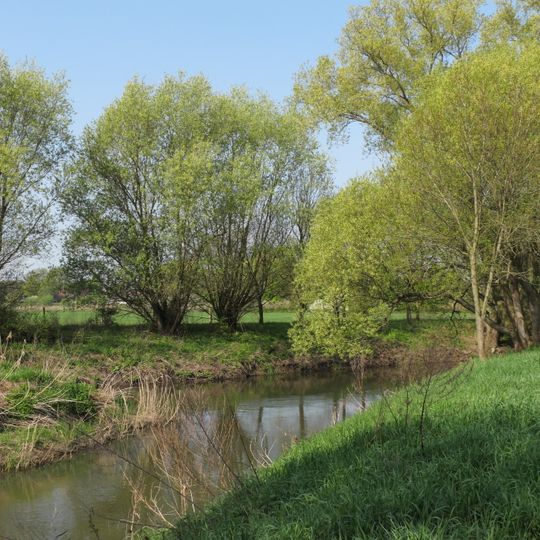 Nördliche Okeraue zwischen Hülperode und Neubrück