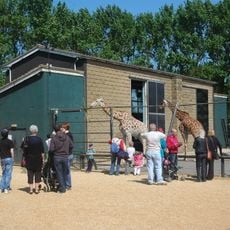 Twycross Zoo