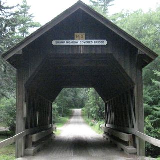 Ponte Coperto di Swamp Meadow