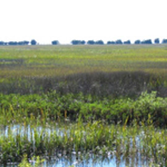Sapelo Island National Estuarine Research Reserve