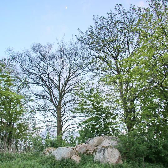 Großsteingrab Silvitz