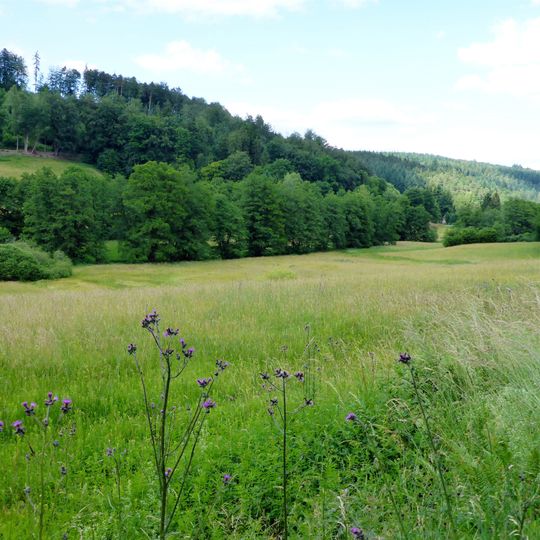 Albtal und Seitentäler