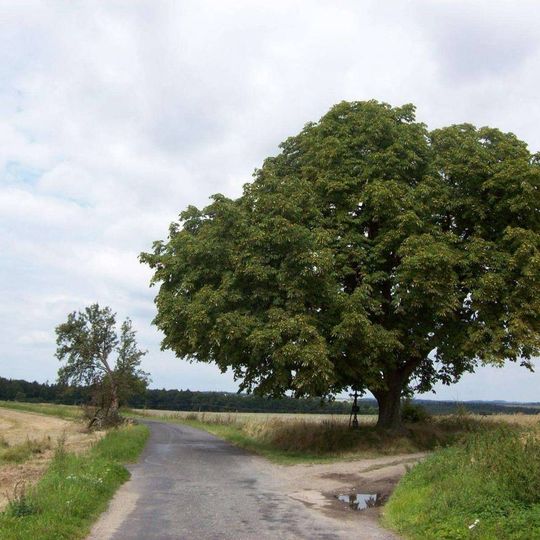 Kříž západně od Dobřejic