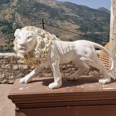 Pacing lion