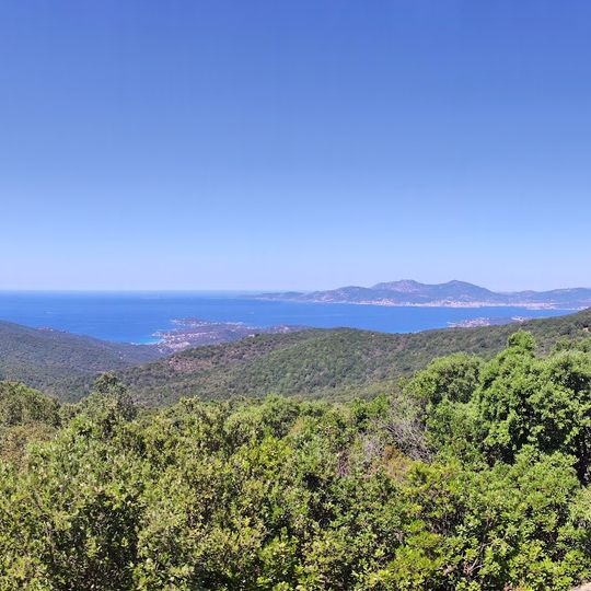 Gioia Di Natura