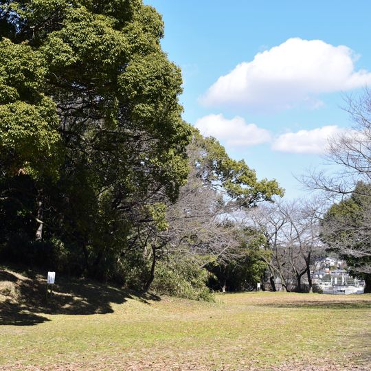 Ōtaka Castle