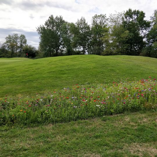 Golf du Château d'Avoise