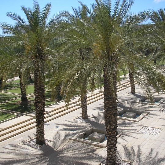 Ben-Gurion International Airport Garden