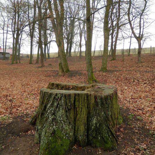 Ámosov kaštieľ a park, park