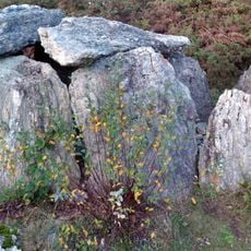 Allée couverte de Tréal