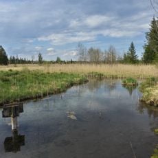 Ellbach- und Kirchseemoor