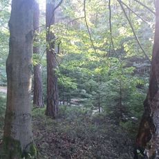 Obrázek pod Najdeckým čihadlem