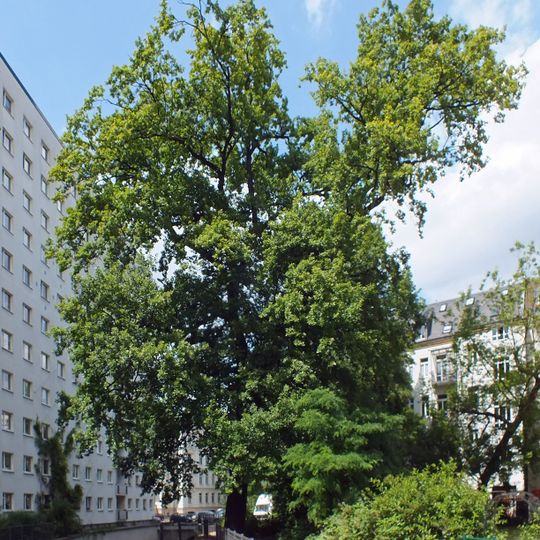 Ehemaliges Carola-Bad, Doppelmietshaus Dufourstraße 6; 8