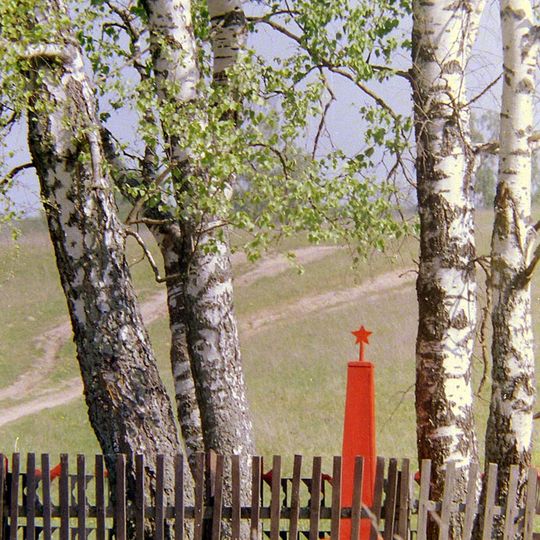 Могила неизвестного советского солдата, погибшего в бою с фашистами )