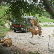 Shenzhen Safari Park