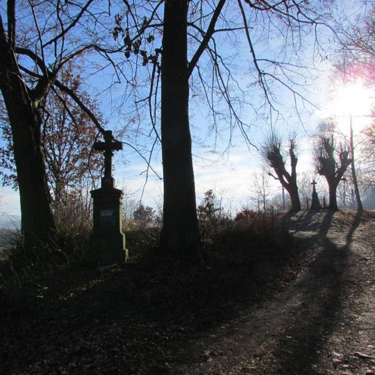 Kříž jižně od Rynárce na památku Františka Bendy