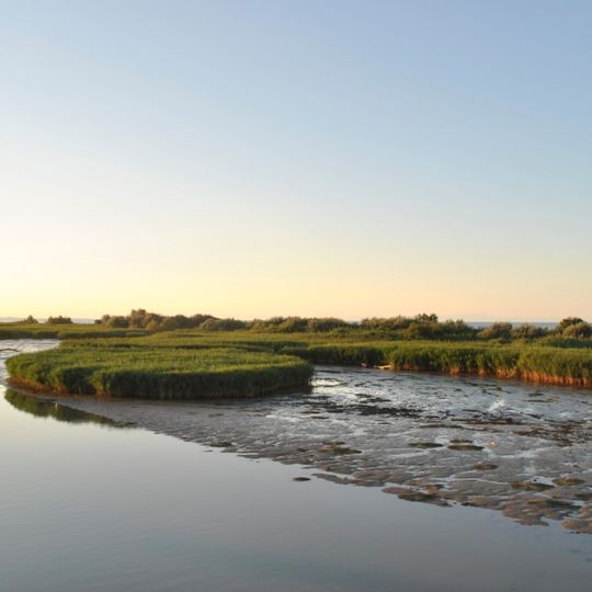 Parc régional du Delta du Pô
