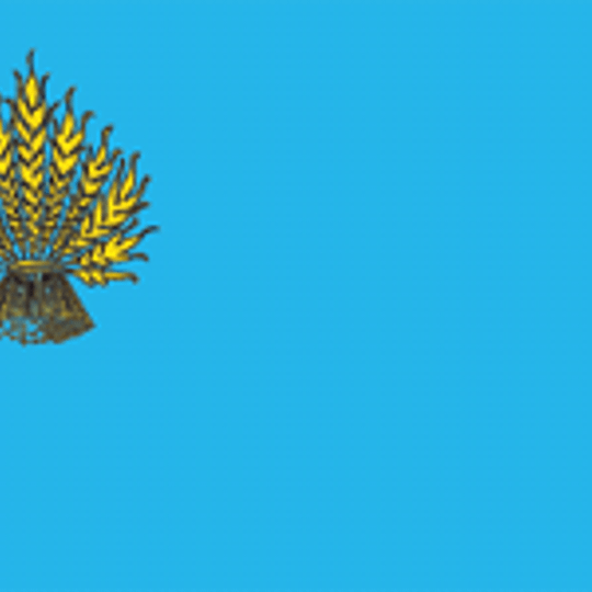 Raión de Kostiantynivka