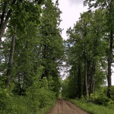 Парк (Большепетровское)