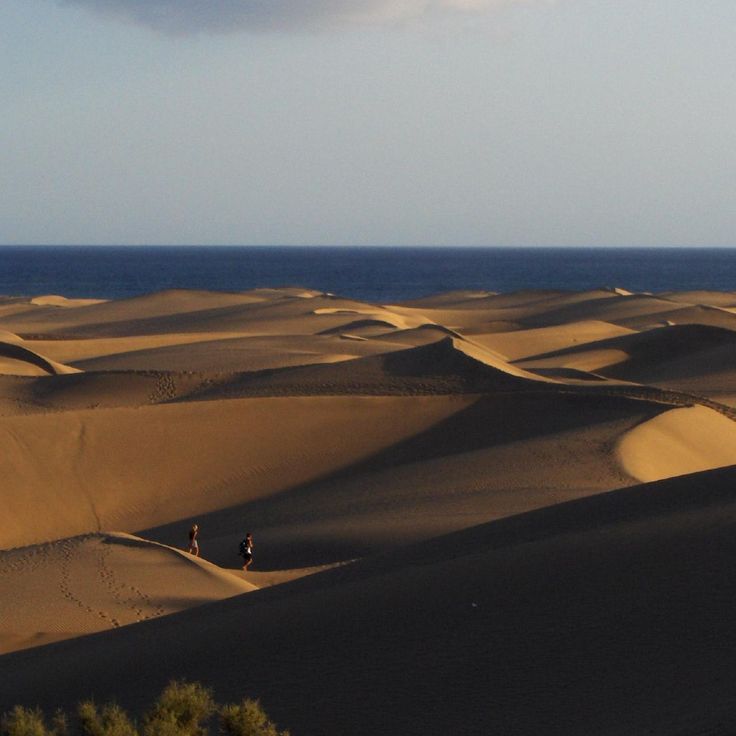 Maspalomas Dunes