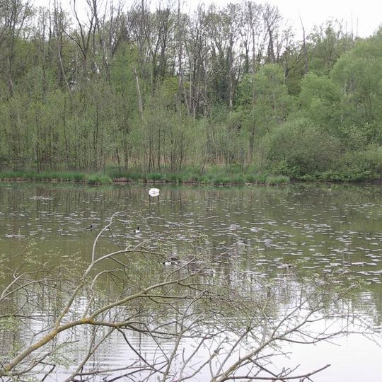 Petite Camargue Alsacienne