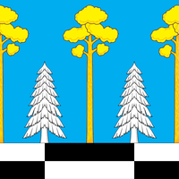 梅济诺夫斯基镇市镇