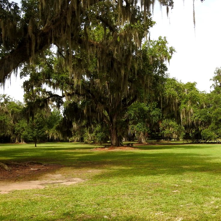 Parc d'État Fontainebleau