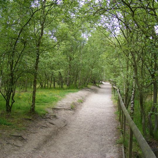 Shorne Wood Country Park