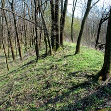 Wiener Neustädter Kanal