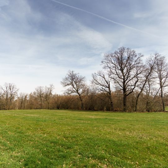 Eichbusch west of Neußen